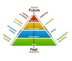 A pyramid diagram shows Data at the base, then Information, Knowledge, and Wisdom at the top. Each level has related actions and directions from past experience to future novelty.