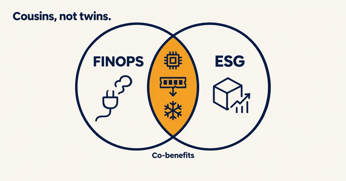 Venn diagram titled Cousins, not twins. showing overlap between FinOps (plug and money icons) and ESG (cube and graph icons), with tech and snowflake icon in the intersection, labeled Co-benefits..